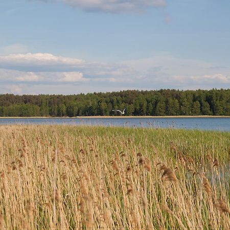 Duck Lake Villa Polatsk Bagian luar foto