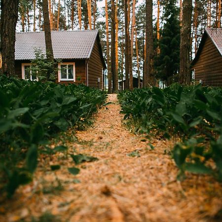 Duck Lake Villa Polatsk Bagian luar foto
