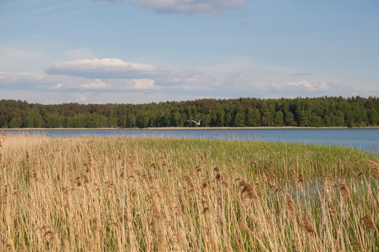 Duck Lake Villa Polatsk Bagian luar foto