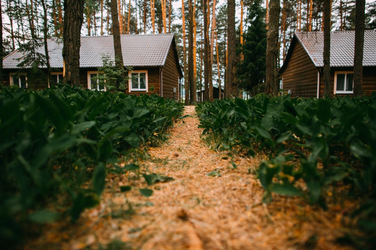 Duck Lake Villa Polatsk Bagian luar foto