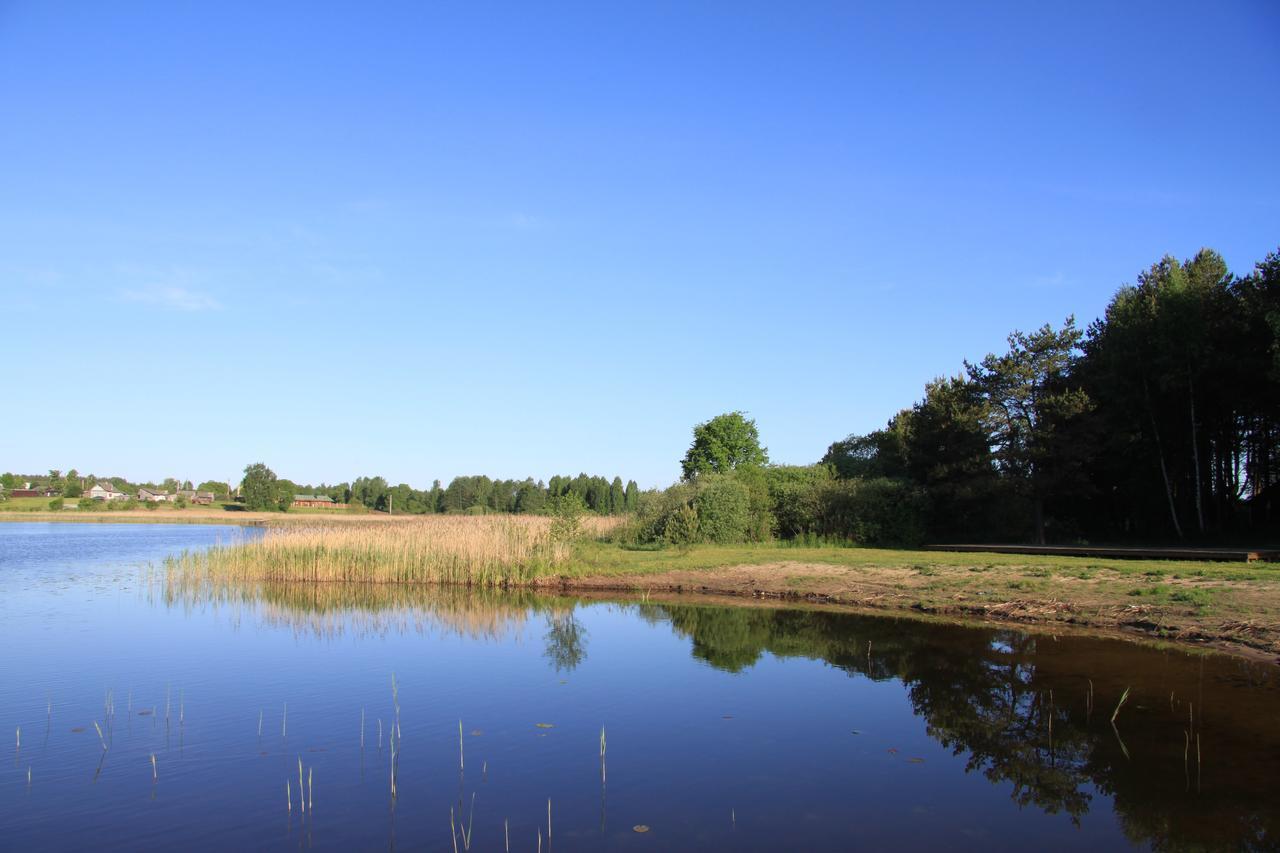 Duck Lake Villa Polatsk Bagian luar foto